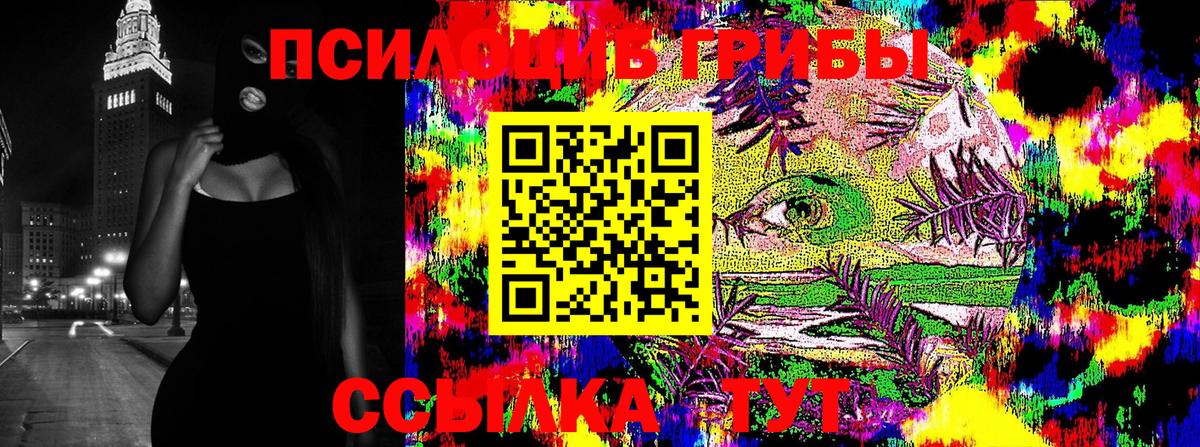 Галлюциногенные грибы прущие грибы Электрогорск